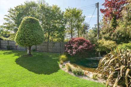 Green Lane, Raymonds Hill, Axminster, Image 18