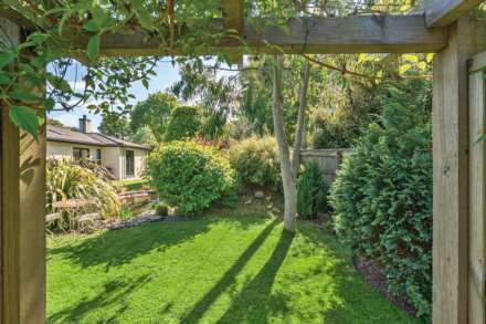 Green Lane, Raymonds Hill, Axminster, Image 19