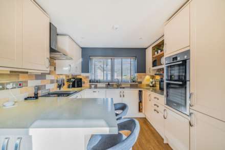 Green Lane, Raymonds Hill, Axminster, Image 9