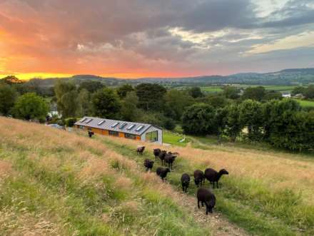 Ridgeway Lane, Colyton, Devon, Image 33