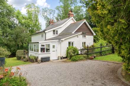 Hawley Bottom, Dalwood, Axminster, Image 23