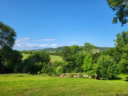 Hawley Bottom, Dalwood, Axminster, Image 24