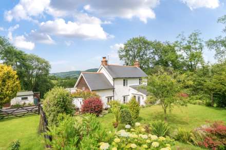 Hawley Bottom, Dalwood, Axminster, Image 26