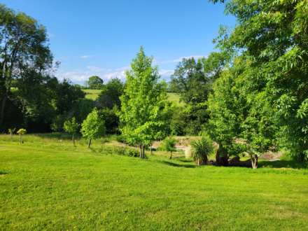 Hawley Bottom, Dalwood, Axminster, Image 28