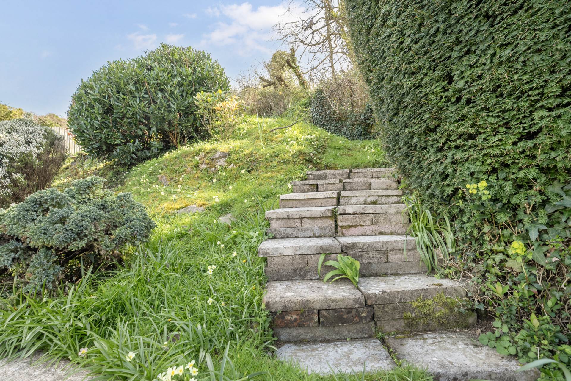 Glenwater Close, Axmouth, Devon, Image 22