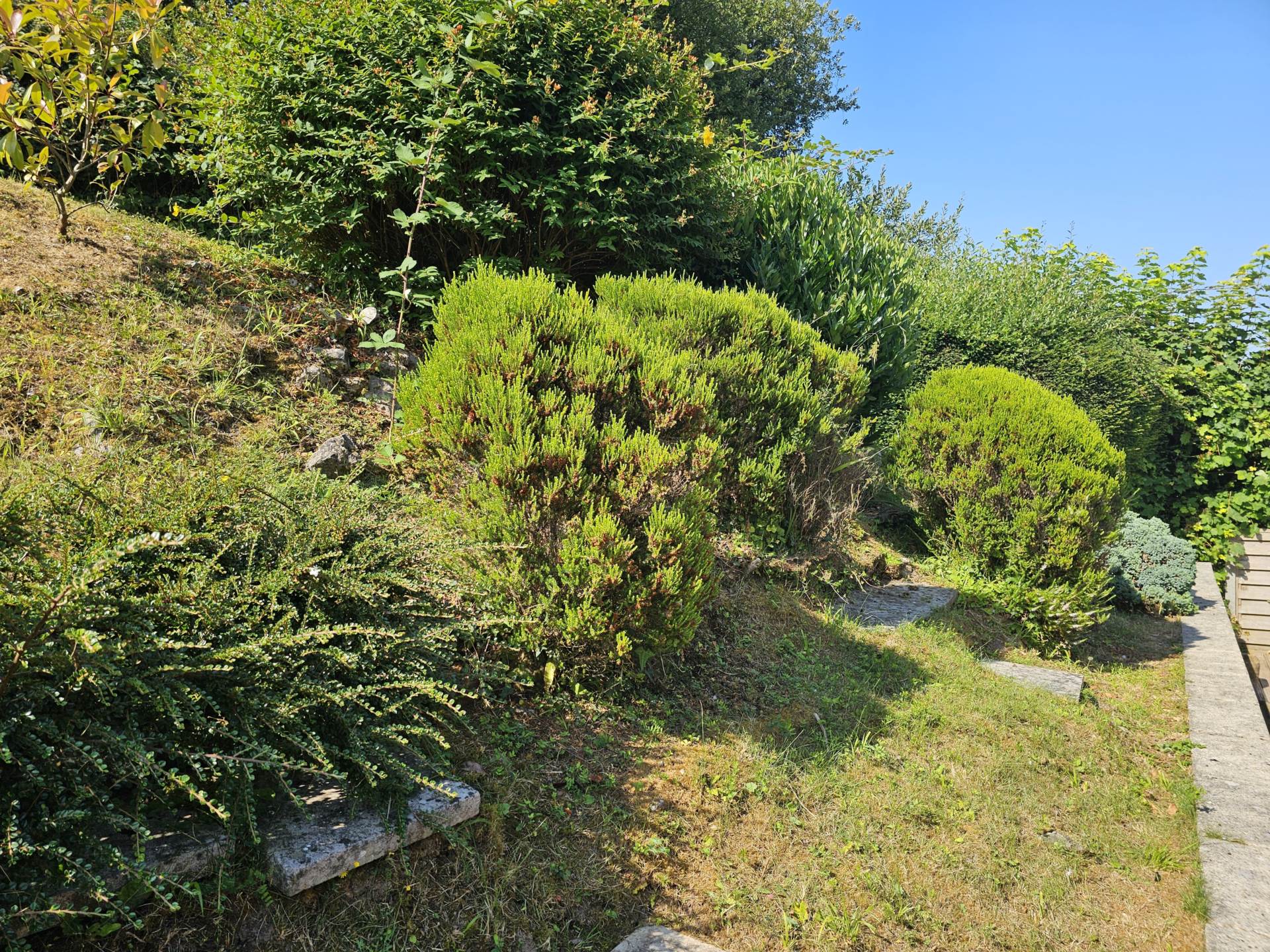 Glenwater Close, Axmouth, Devon, Image 28