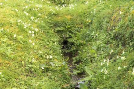 Glenwater Close, Axmouth, Devon, Image 25