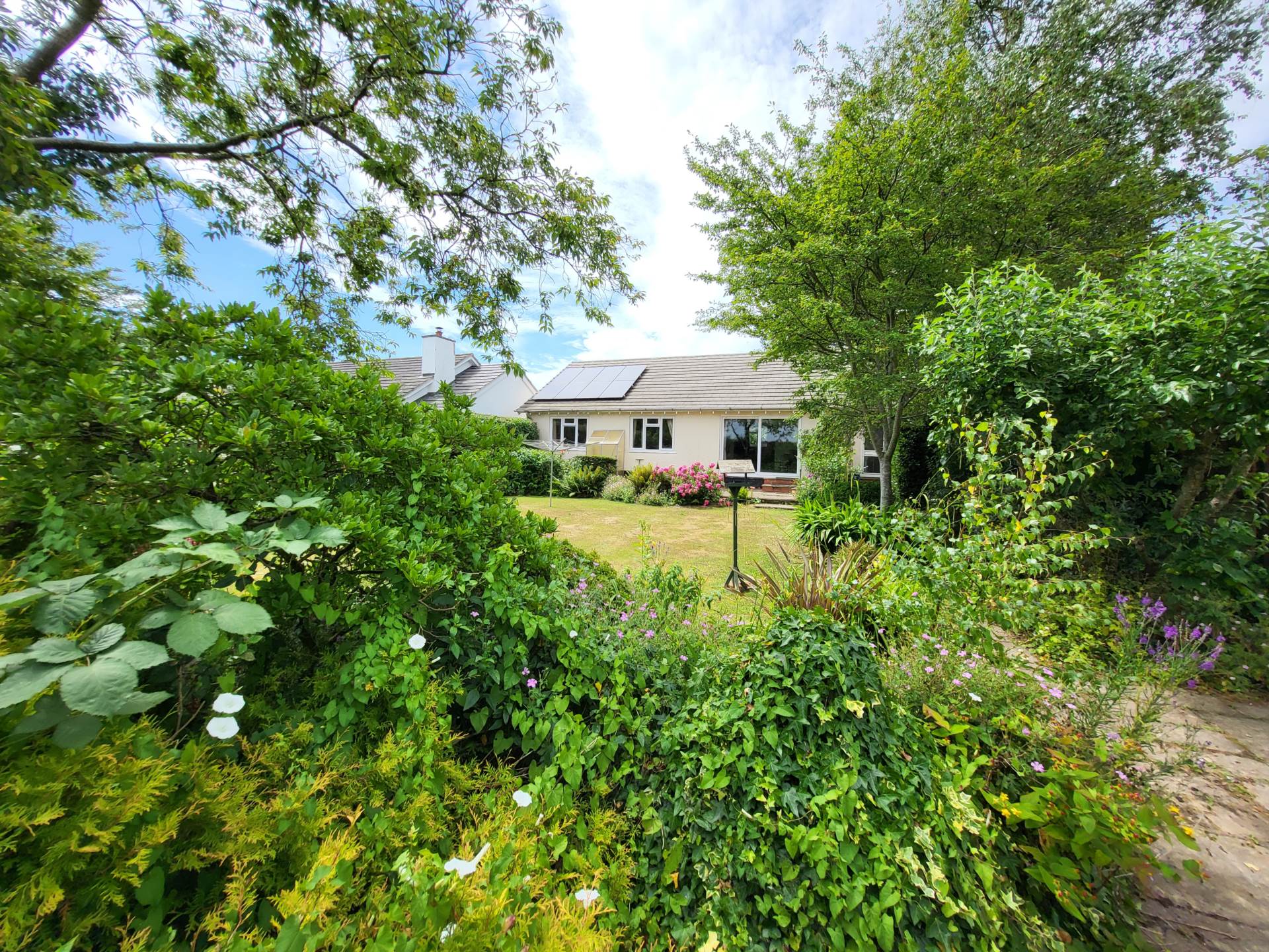 Govers Meadow, Colyton, Devon, Image 18
