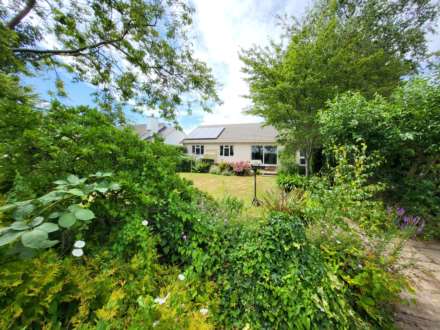 Govers Meadow, Colyton, Devon, Image 18