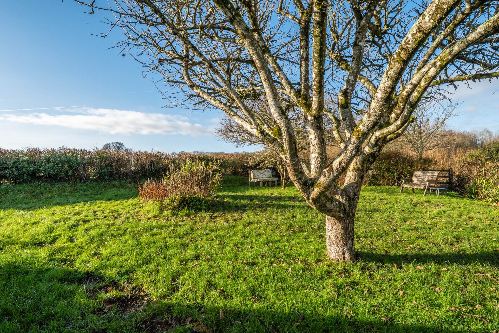 Stockland, Honiton, Devon, Image 24