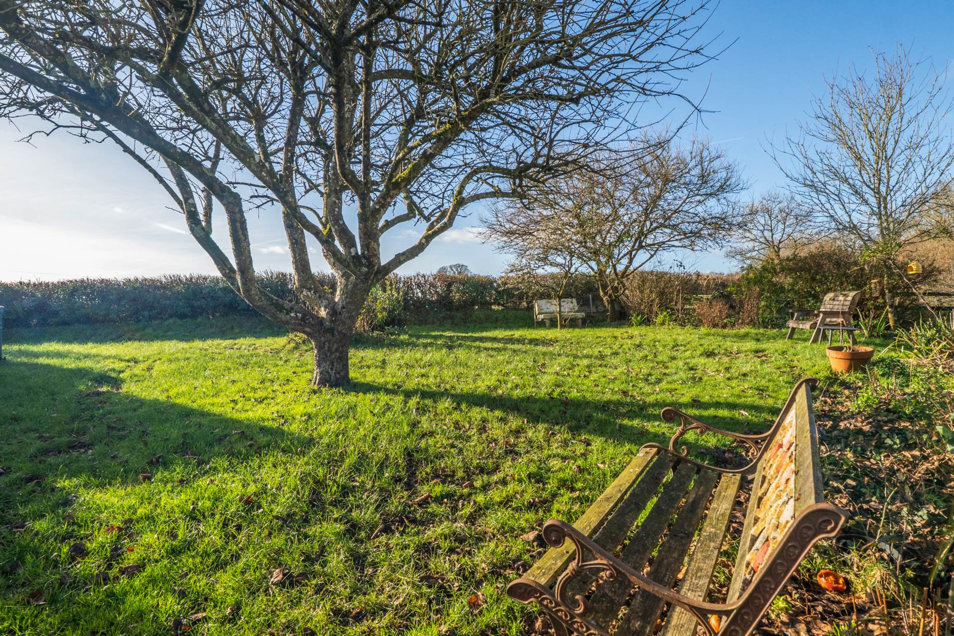 Stockland, Honiton, Devon, Image 25