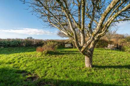 Stockland, Honiton, Devon, Image 24