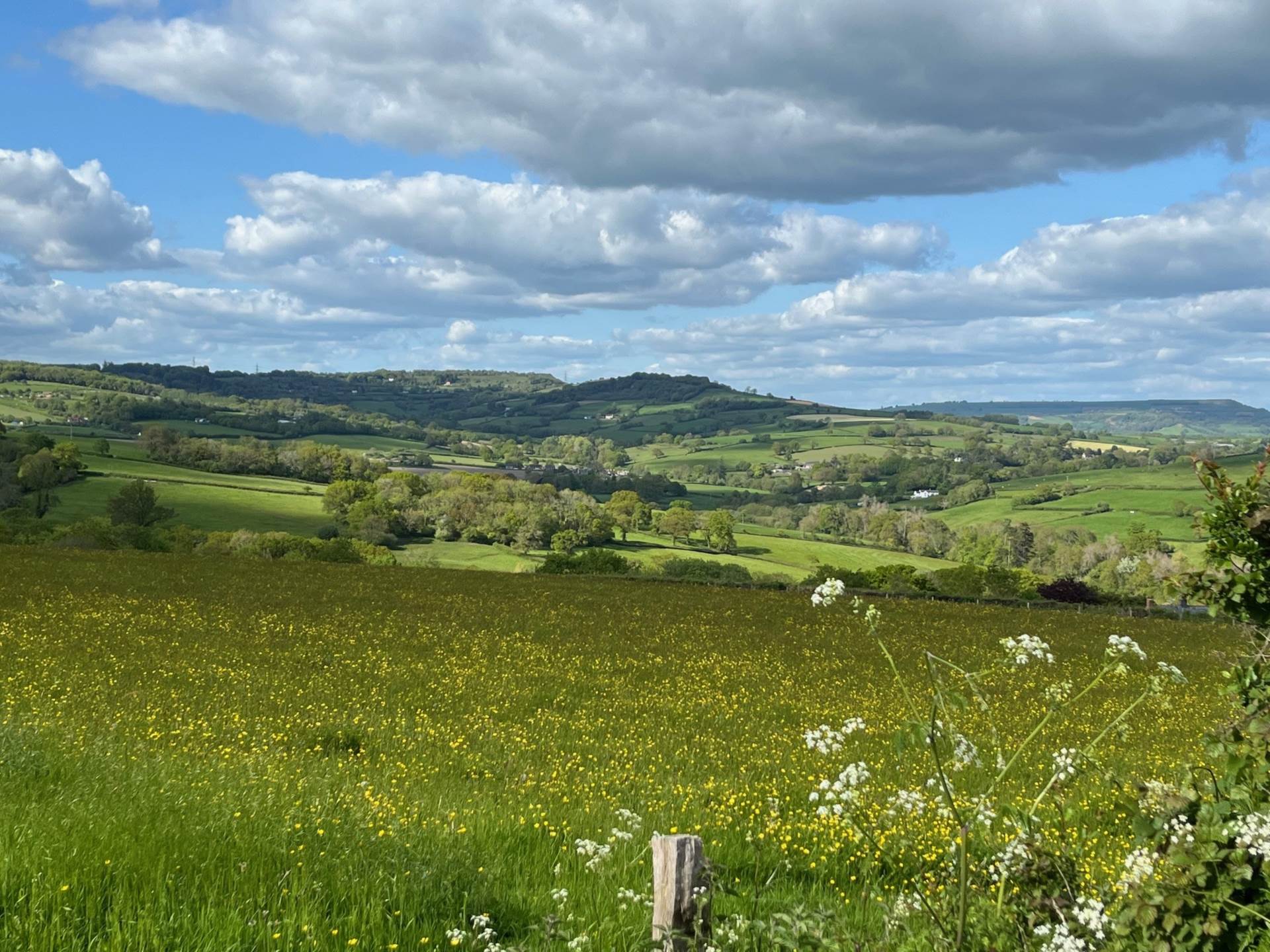 Old Lyme Hill, Charmouth, Dorset, Image 20