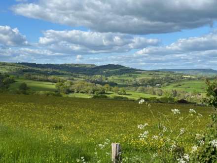 Old Lyme Hill, Charmouth, Dorset, Image 20