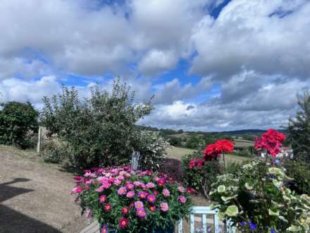 Old Lyme Hill, Charmouth, Dorset, Image 32