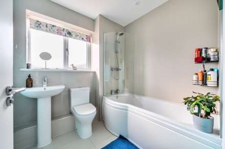 Saxon Meadow, Colyton.Devon, Image 14