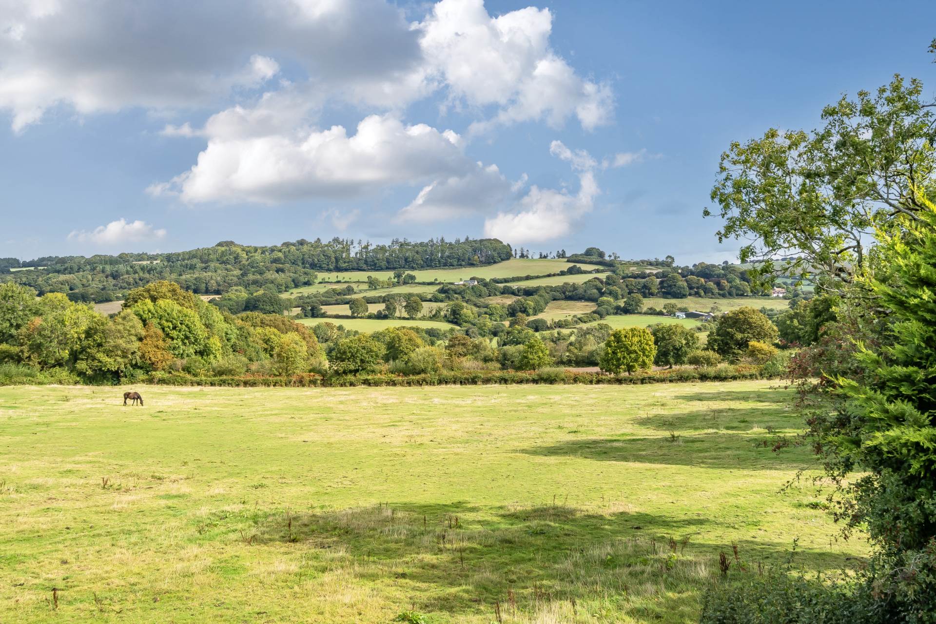 Marshwood, Bridport, Dorset, Image 27