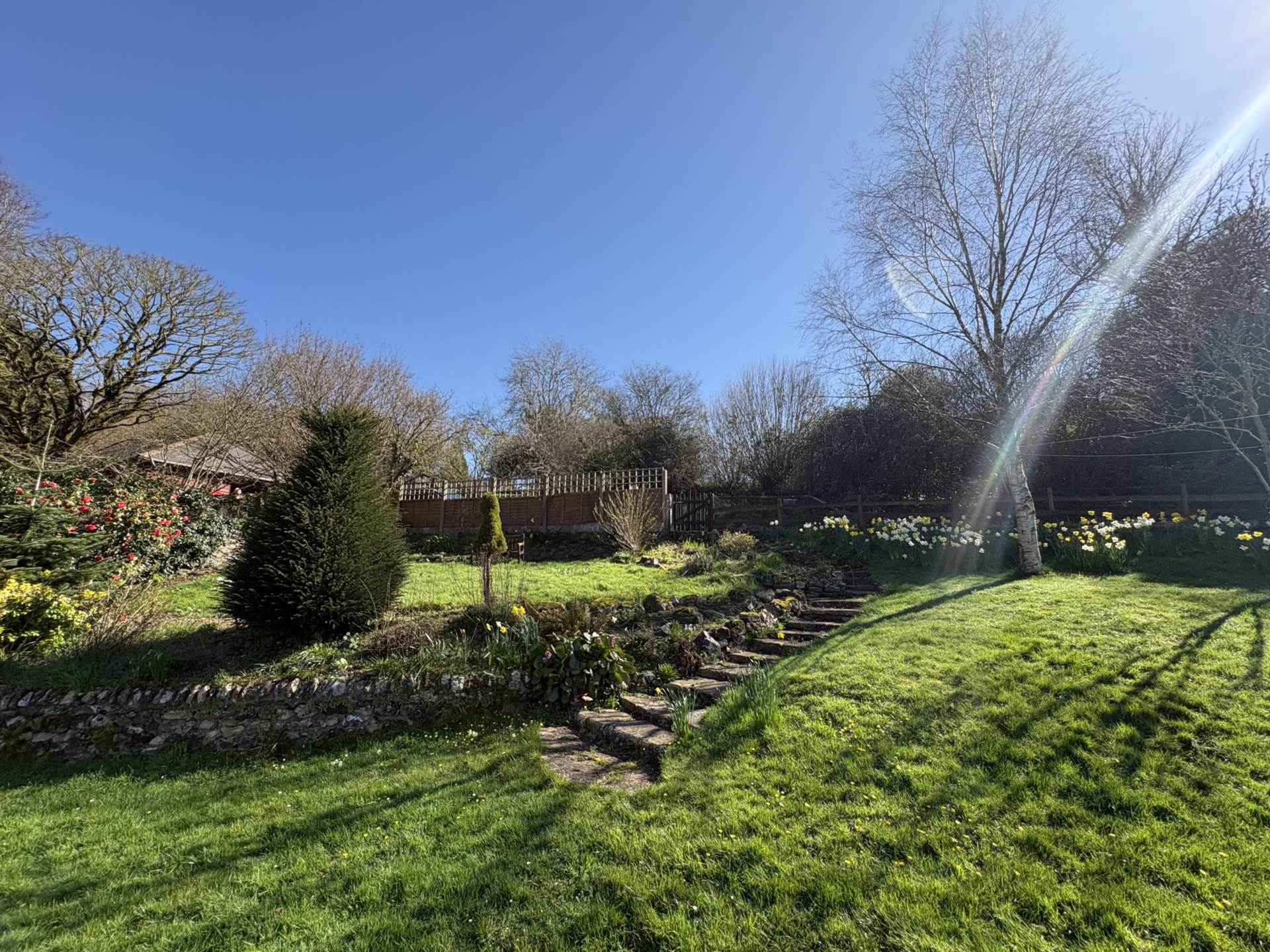 Membury, Axminster, Devon, Image 31