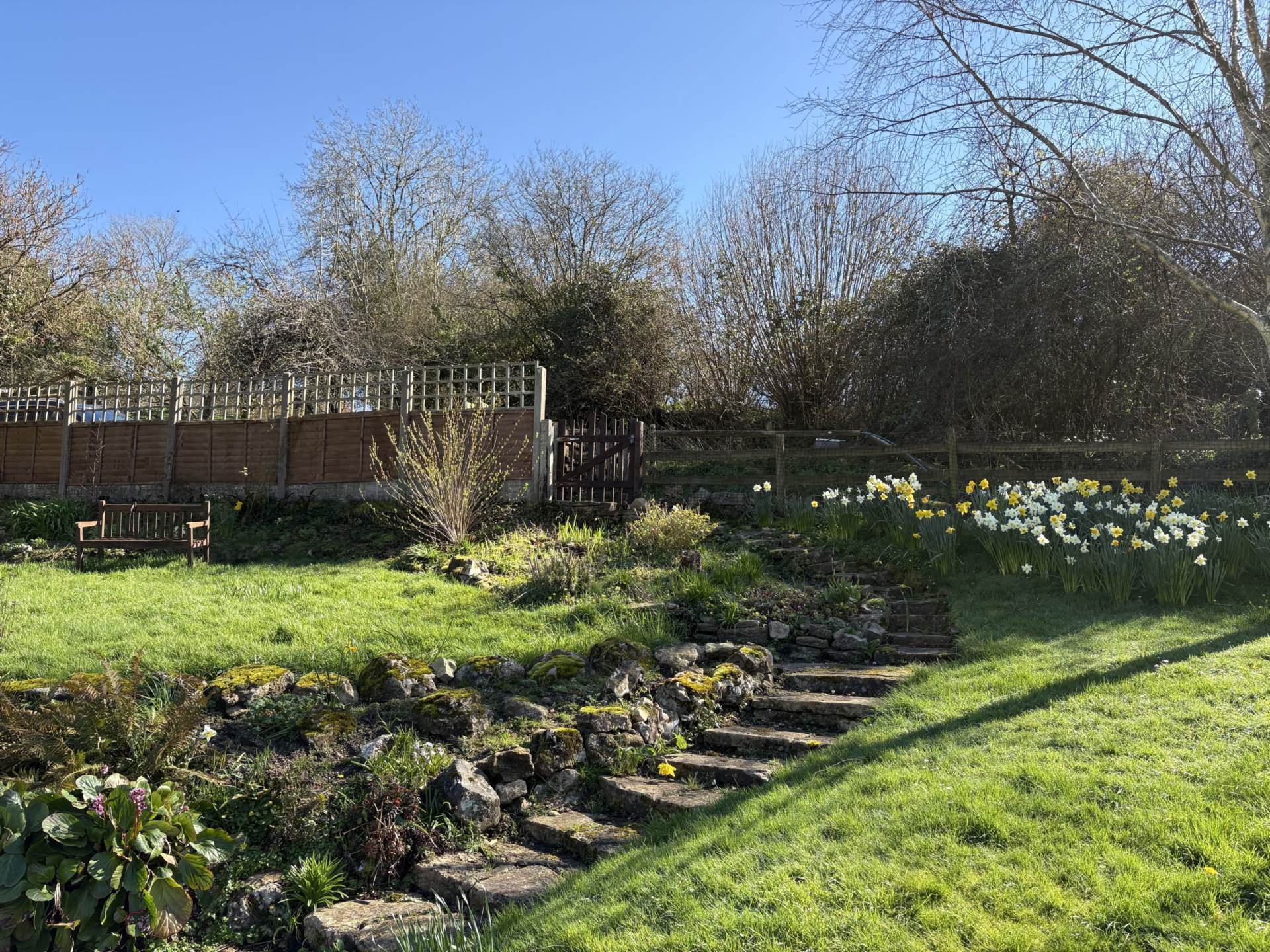 Membury, Axminster, Devon, Image 32