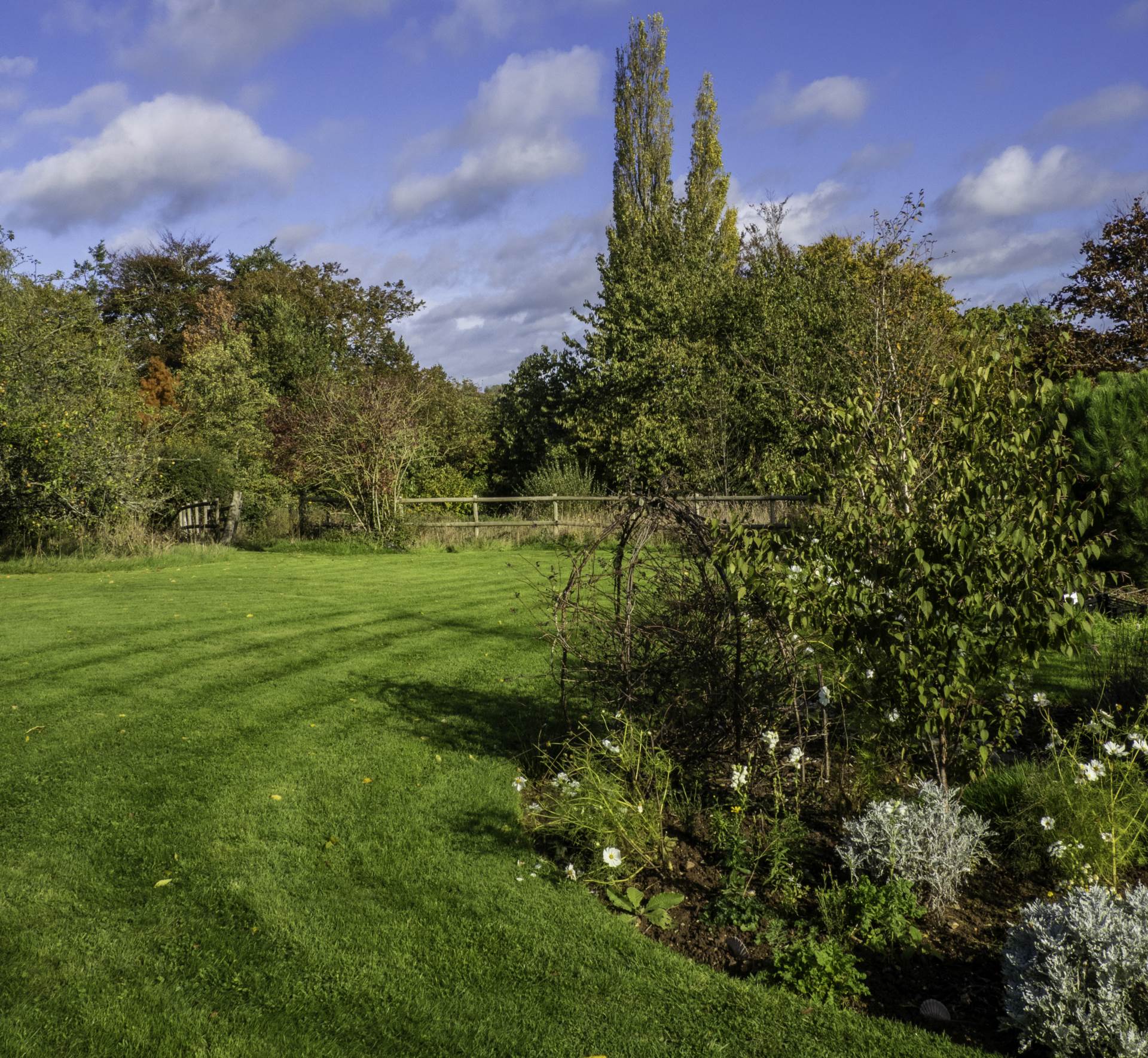 Shells Lane, Colyford, Colyton, Image 20