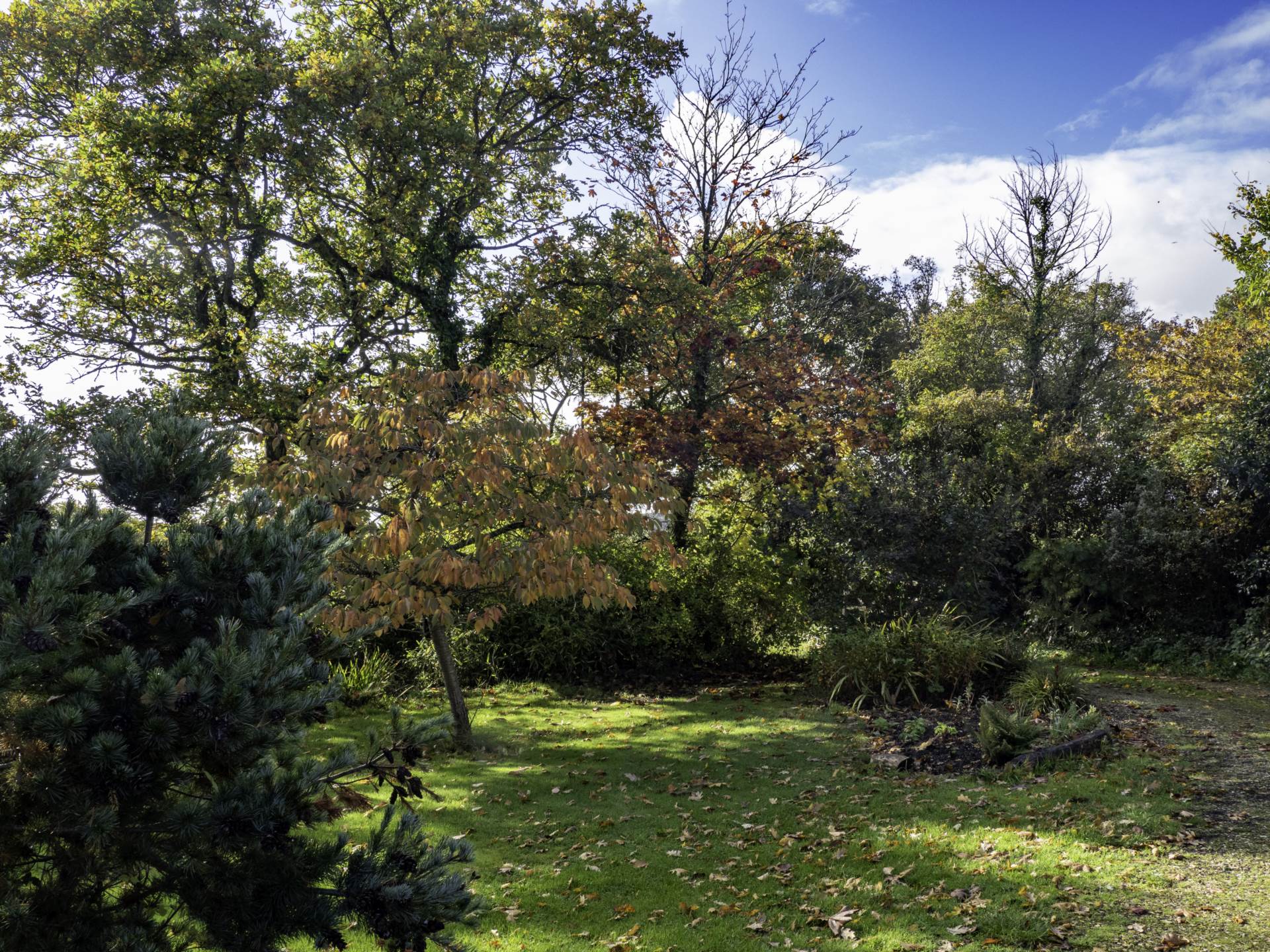 Shells Lane, Colyford, Colyton, Image 22