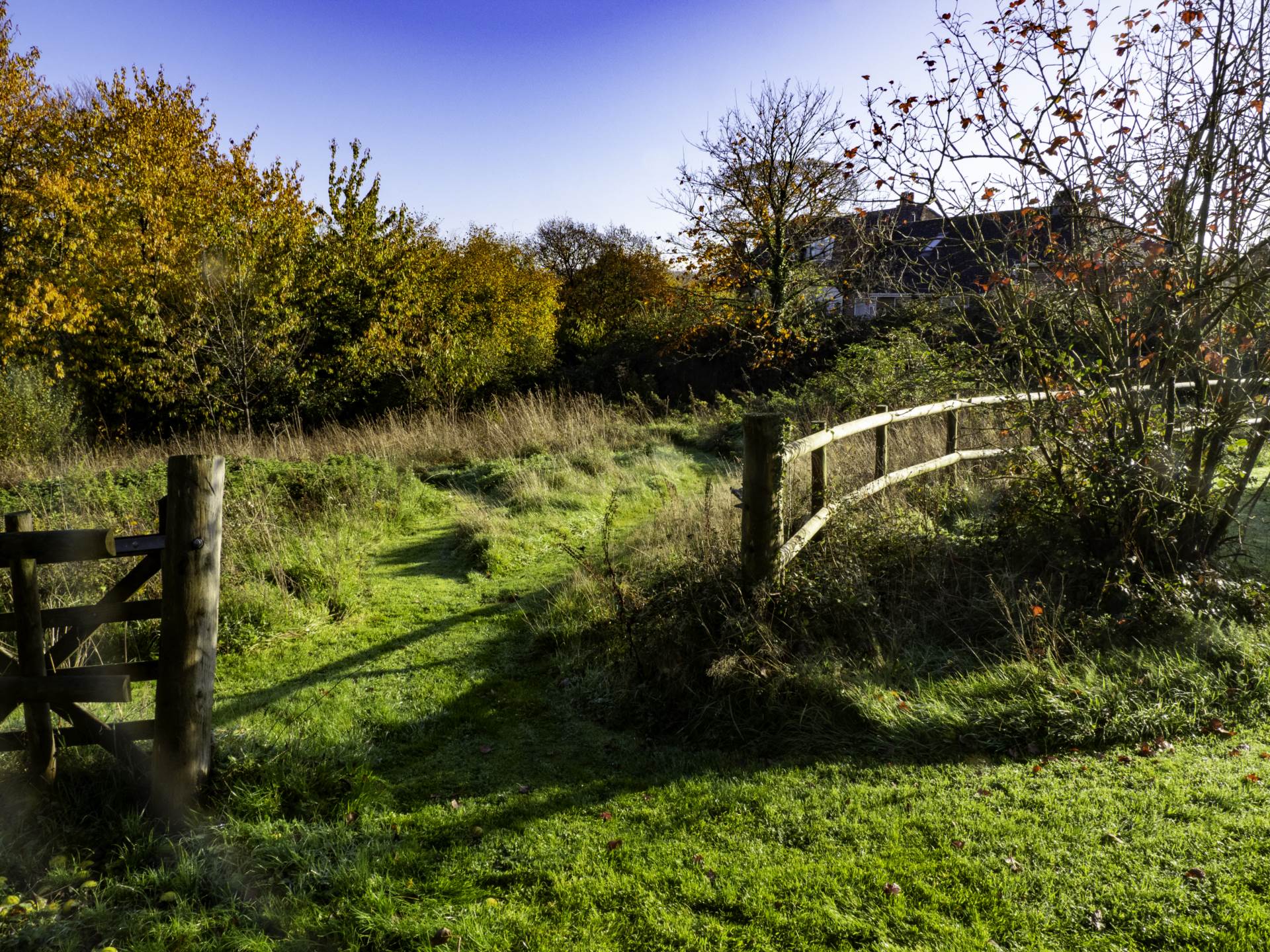 Shells Lane, Colyford, Colyton, Image 26