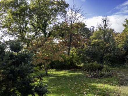 Shells Lane, Colyford, Colyton, Image 22