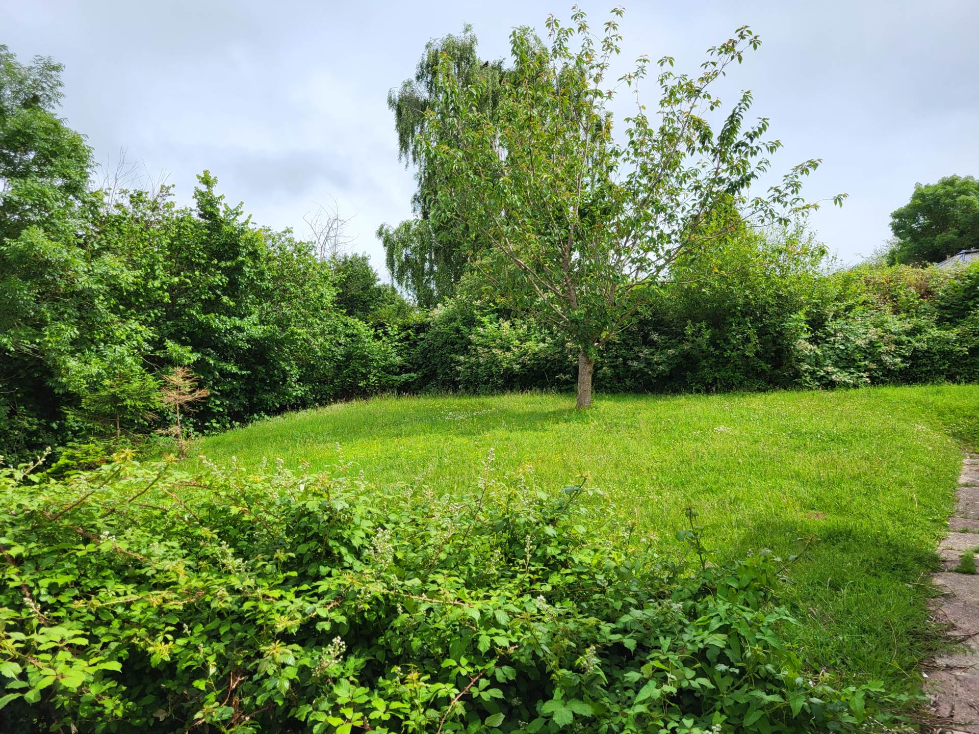 Hillhead, Colyton, Devon, Image 15