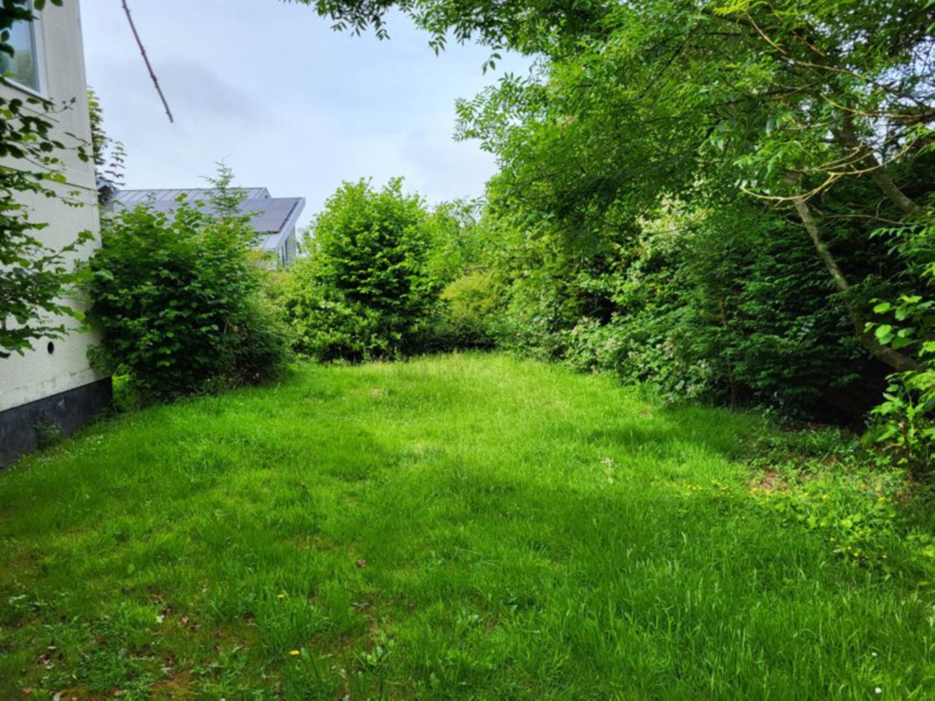Hillhead, Colyton, Devon, Image 16