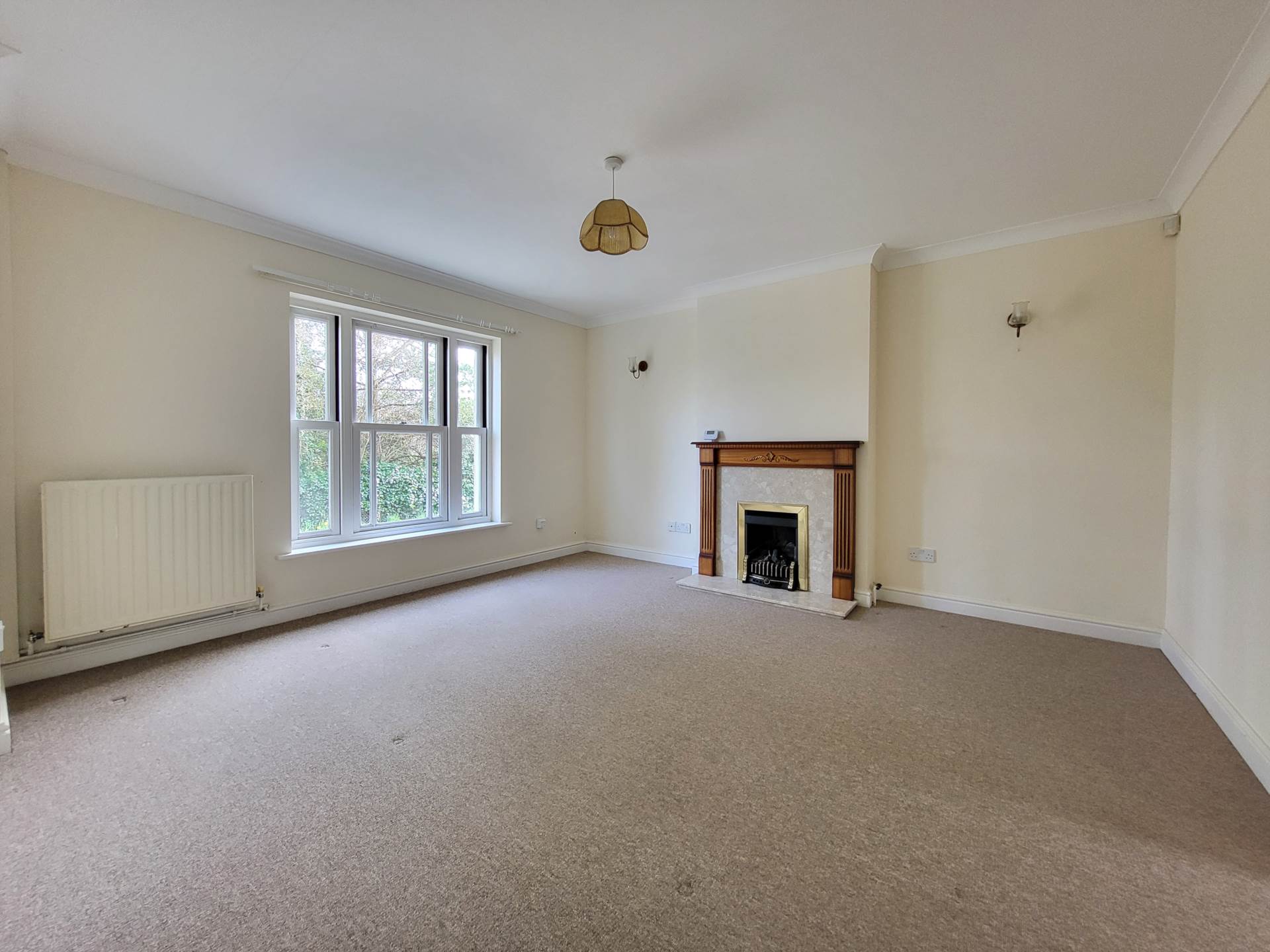 Double Common, Charmouth, Dorset, Image 2