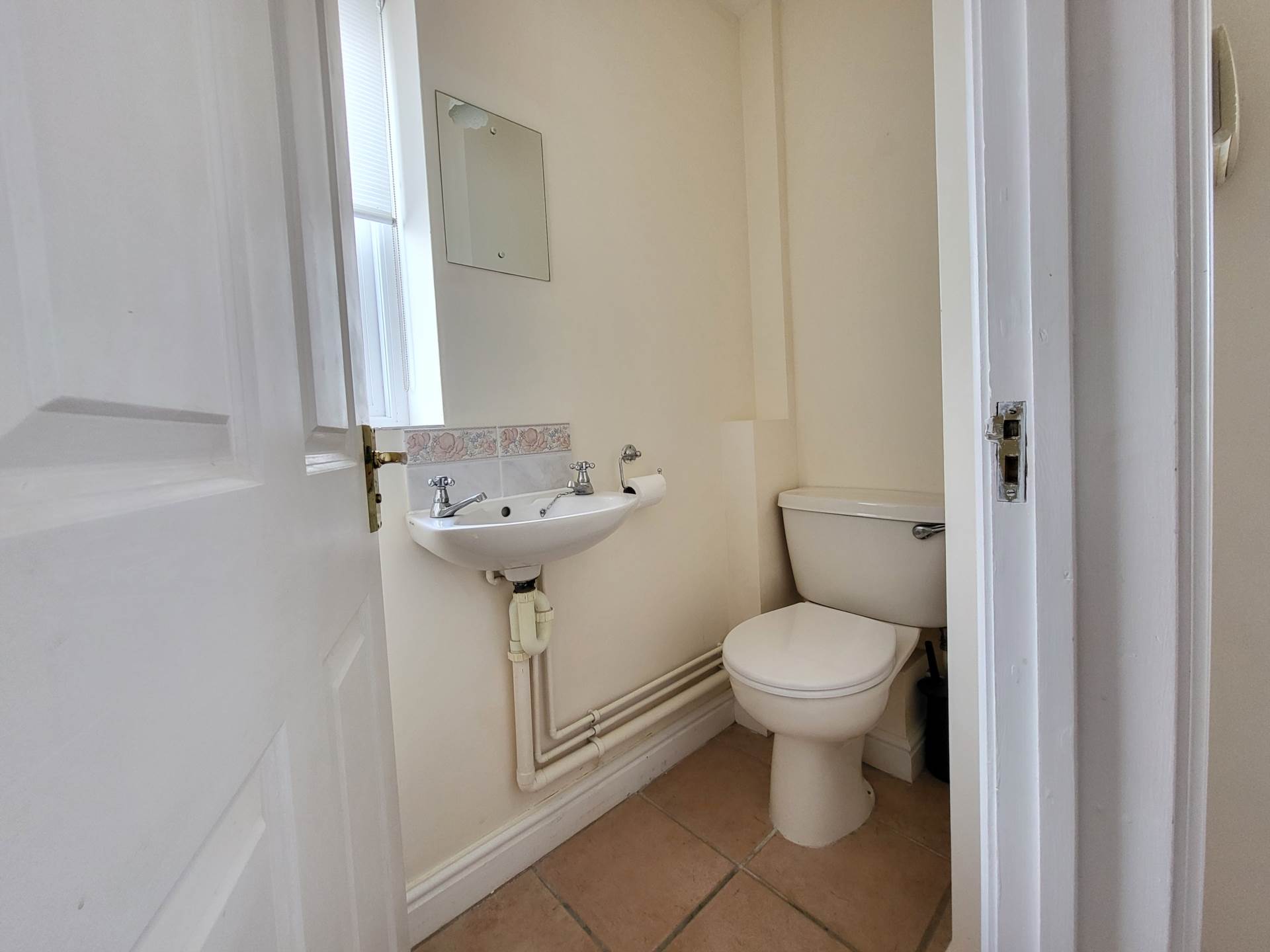 Double Common, Charmouth, Dorset, Image 6