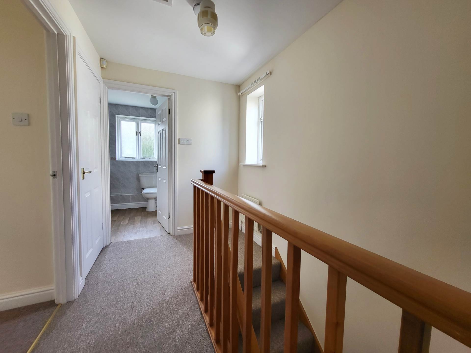 Double Common, Charmouth, Dorset, Image 7