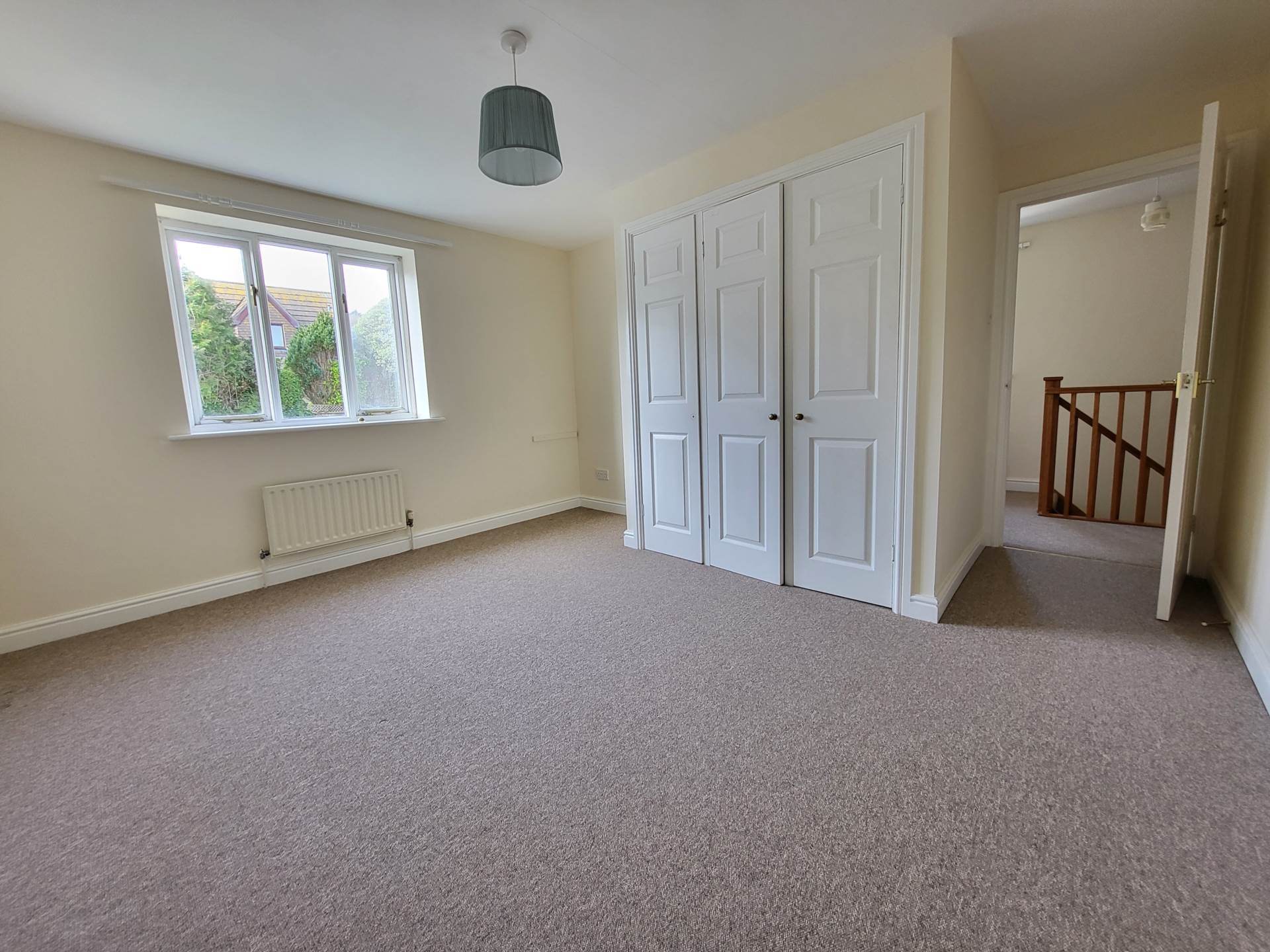 Double Common, Charmouth, Dorset, Image 8