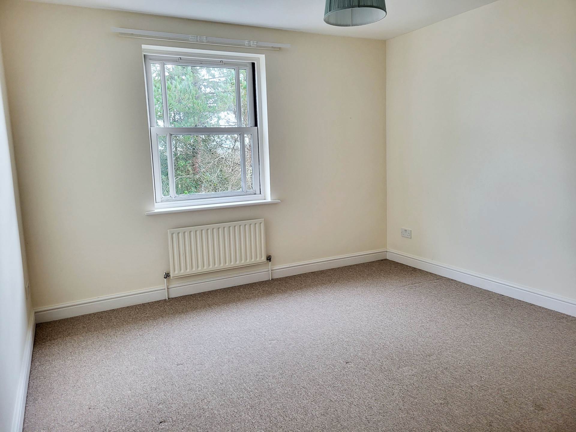 Double Common, Charmouth, Dorset, Image 9