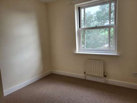 Double Common, Charmouth, Dorset, Image 11