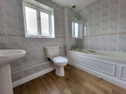 Double Common, Charmouth, Dorset, Image 12