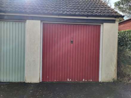 Double Common, Charmouth, Dorset, Image 16