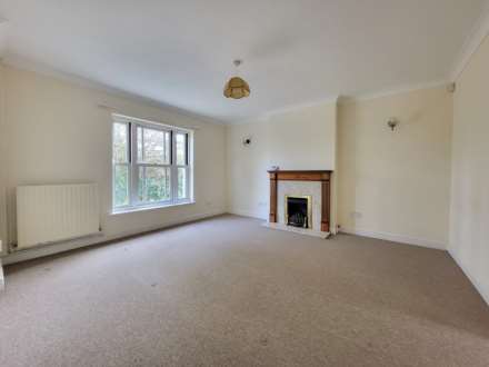 Double Common, Charmouth, Dorset, Image 2