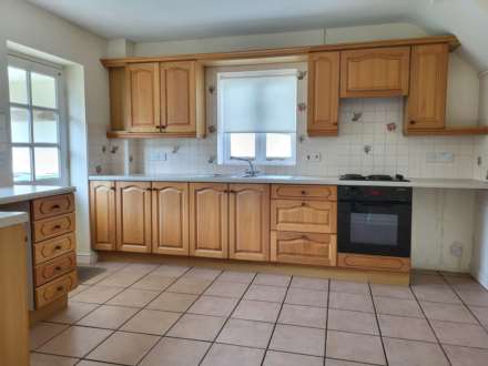 Double Common, Charmouth, Dorset, Image 3