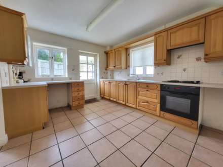 Double Common, Charmouth, Dorset, Image 4