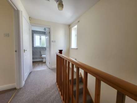 Double Common, Charmouth, Dorset, Image 7