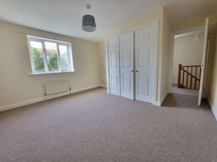 Double Common, Charmouth, Dorset, Image 8