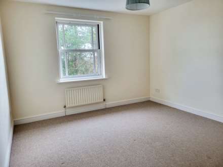 Double Common, Charmouth, Dorset, Image 9