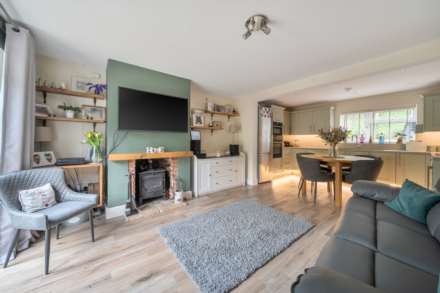 Coombe Orchard, Axmouth,Devon, Image 3