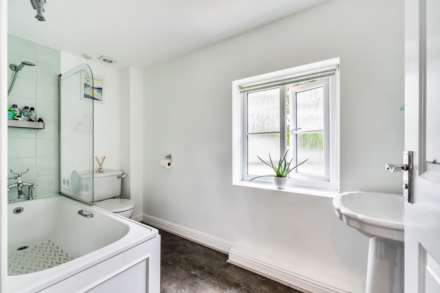 Tansee Hill, Thorncombe, Dorset, Image 14