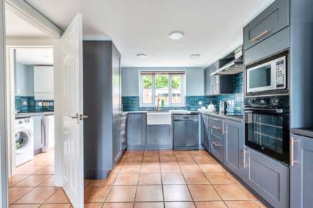 Tansee Hill, Thorncombe, Dorset, Image 2