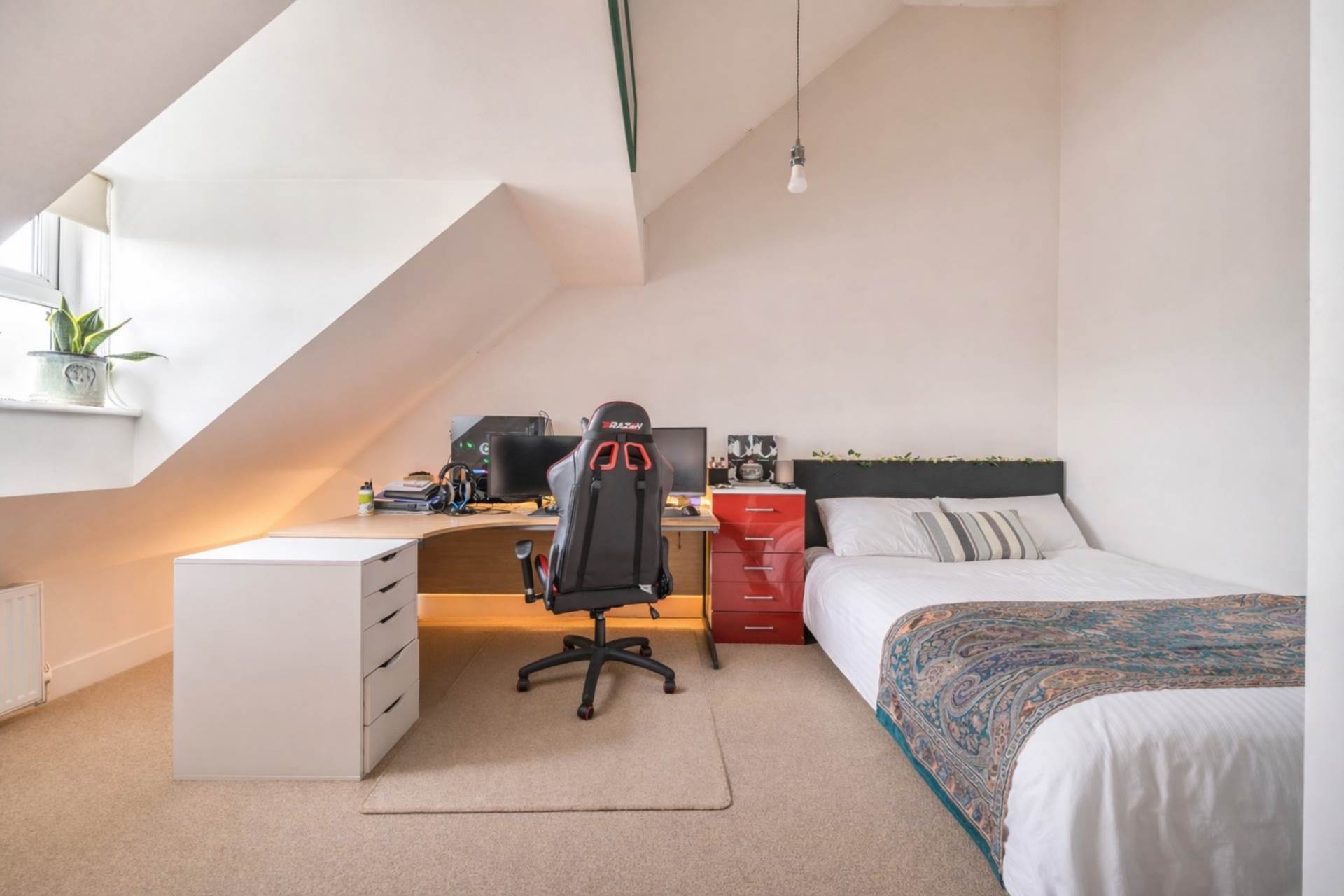 Woodroffe Meadow, Lyme Regis, Dorset, Image 20