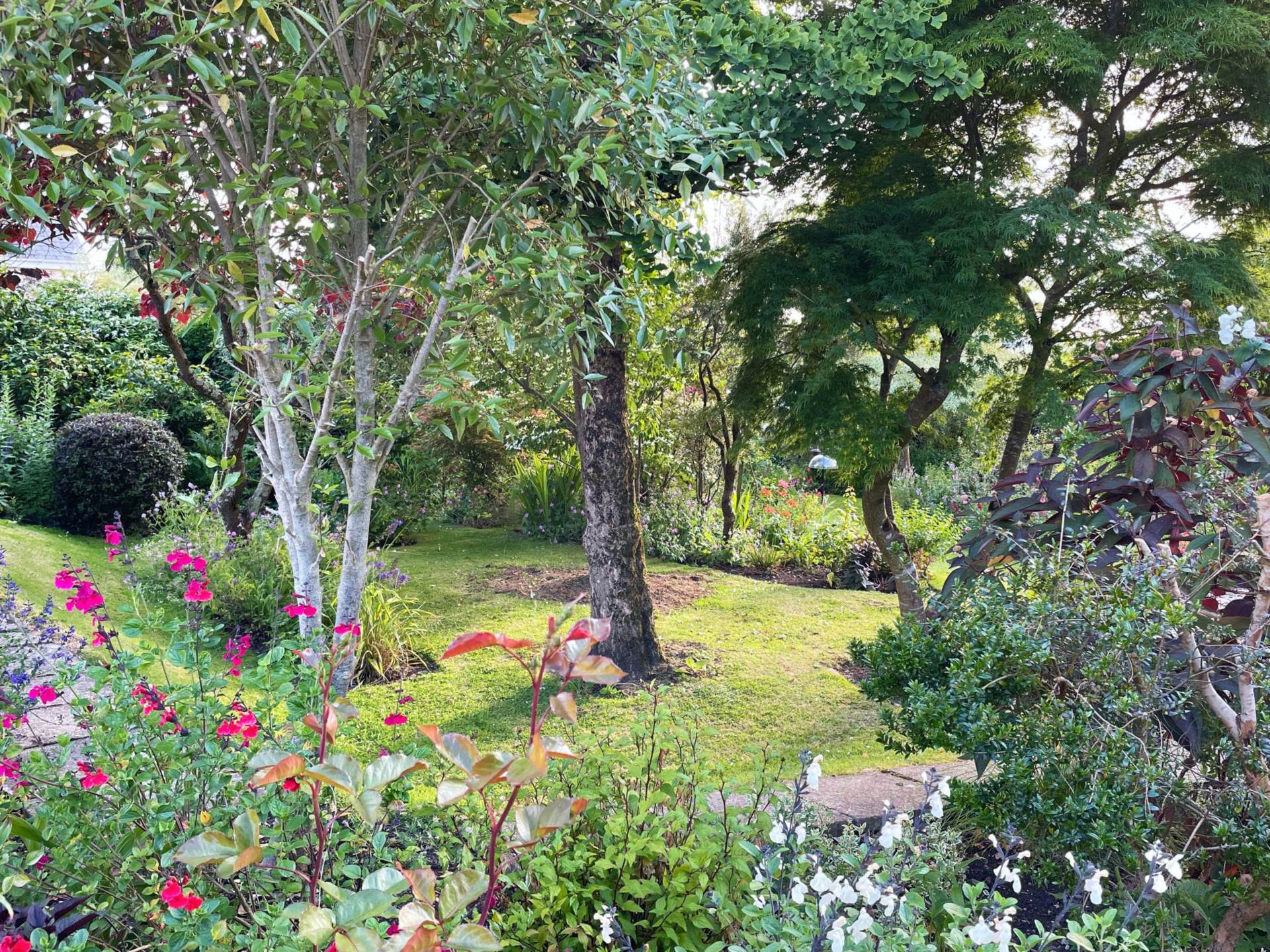 Lyme Road, Axminster, Devon, Image 2