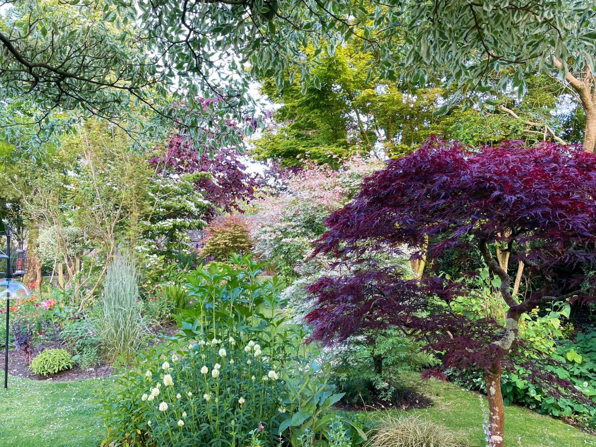 Lyme Road, Axminster, Devon, Image 29