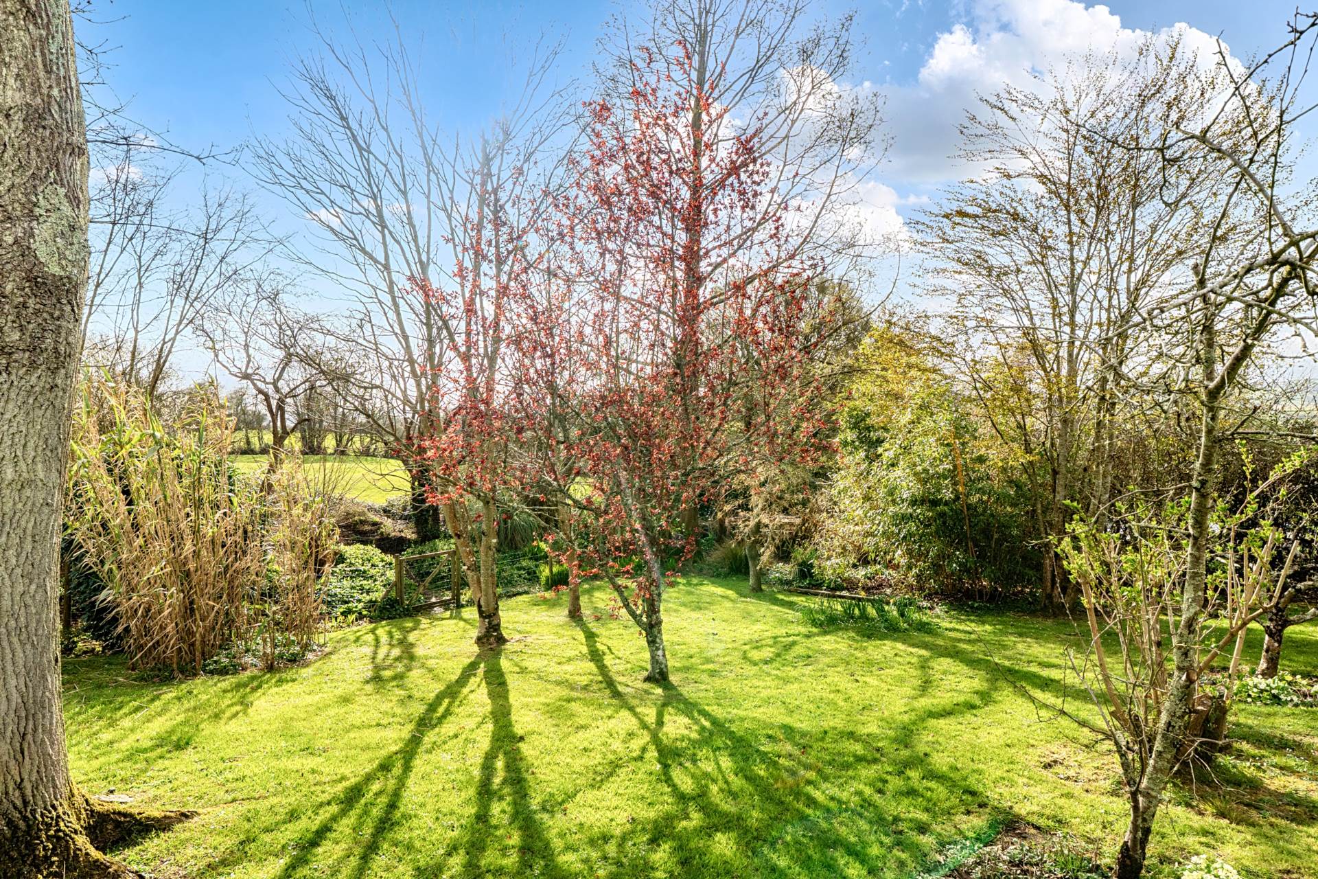 Lyme Road, Axminster, Devon, Image 31